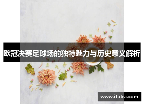 欧冠决赛足球场的独特魅力与历史意义解析